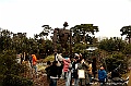 ghibli museum roof 10